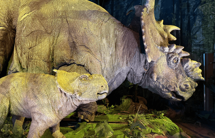 Jurassic World The Experience a Sesto: le foto della mostra