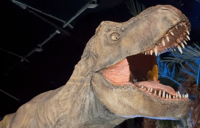 Jurassic World The Experience a Sesto: le foto della mostra