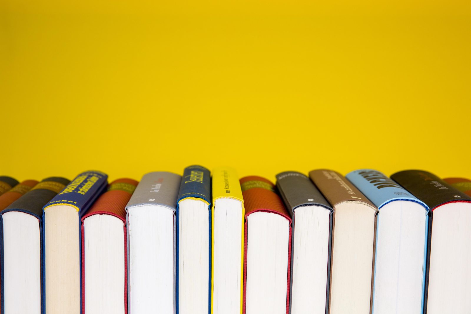 Sesto San Giovanni, torna la Bancarella dei libri usati