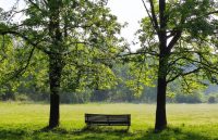 Parco Nord Milano, una giornata tra benessere e natura