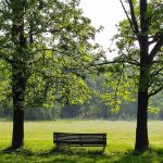 Al Parco Nord Milano torna la Festa dello Sport