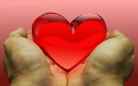 Sesto San Giovanni, due giornate dedicate alla donazione di organi, tessuti e cellule