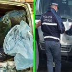 Sesto San Giovanni, trasporto illecito di rifiuti: due denunce e autocarro sequestrato
