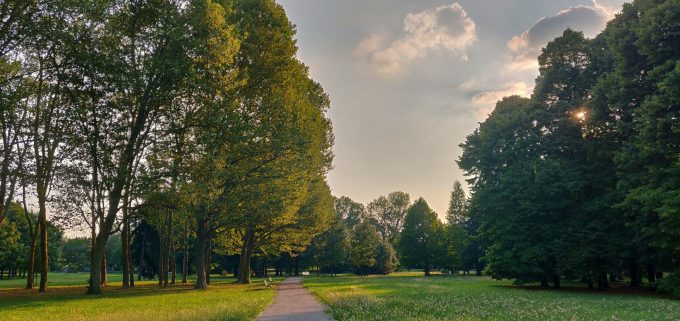 Parco Nord Milano, quattro domeniche per scoprire come vivono e comunicano gli alberi